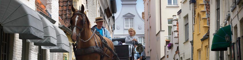 Bruges horse and carriage